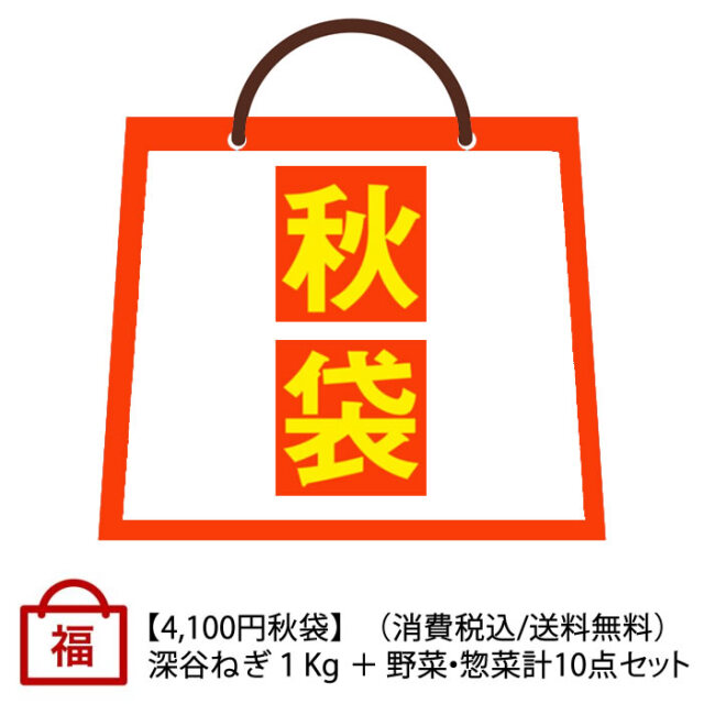 秋の福袋4100円