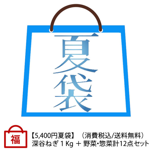 夏の福袋 深谷ねぎ1Kg＋野菜・惣菜 計12点【受注期間：7月10日（月）～8月31日（木）お届けは8月1日以降、送料無料】