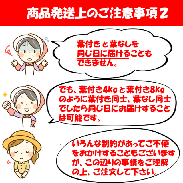 干し大根葉付きと葉なしの違い４