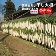干し大根　訳あり　不揃い　箱込み約20kg 道の駅おかべ】干し大根｜ネットショップ