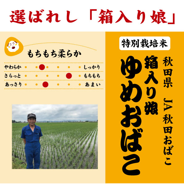 7年産　ゆめおばこ