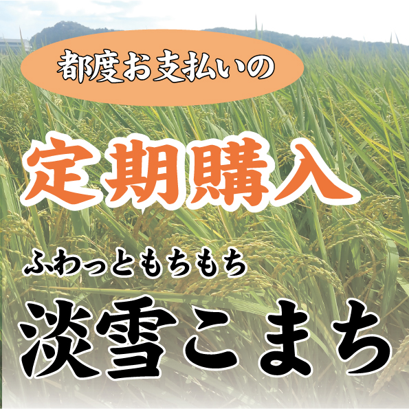 淡雪こまち定期
