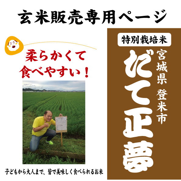 7年産　だて正夢玄米