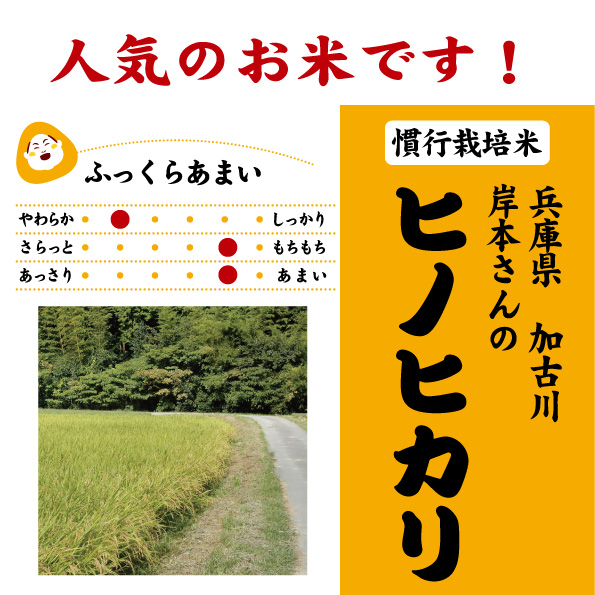 兵庫加古川ヒノヒカリ
