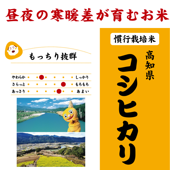 高知　コシヒカリ