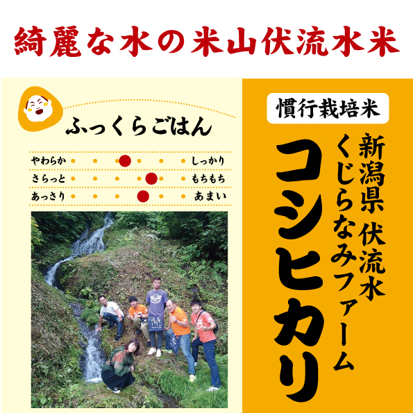 新潟伏流水コシ