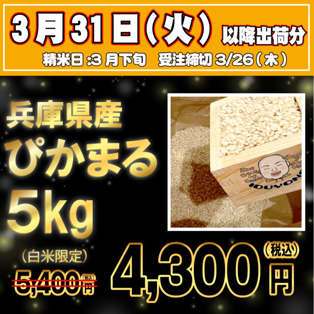 3/31出荷・3/26受注締切】令和7年産 兵庫県産ぴかまる 白米5kg 3/31出荷・3/26受注締切】令和7年産 兵庫県産ぴかまる 白米5kg