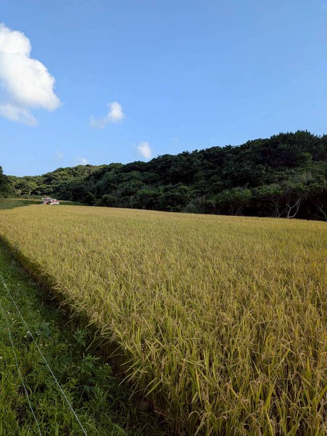 ちゅらひかり
