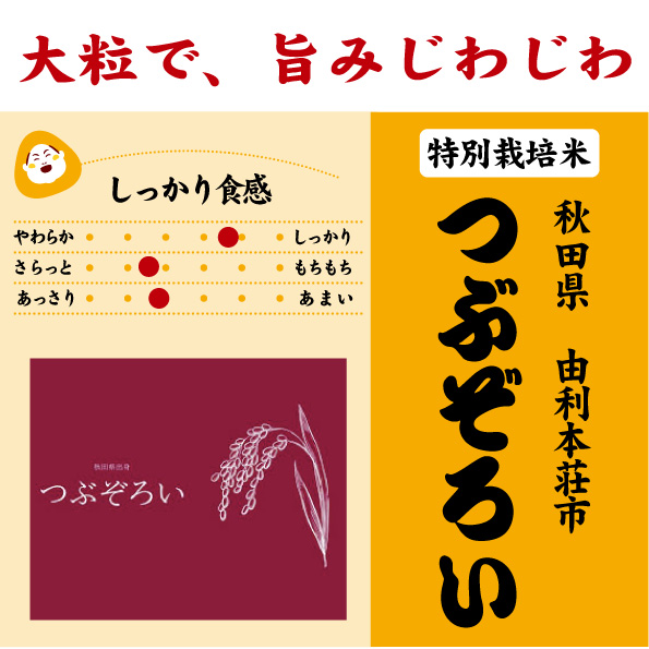 秋田　つぶぞろい
