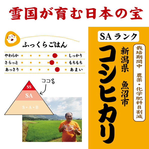 7年産　魚沼SAコシヒカリ