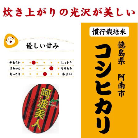 阿波美人