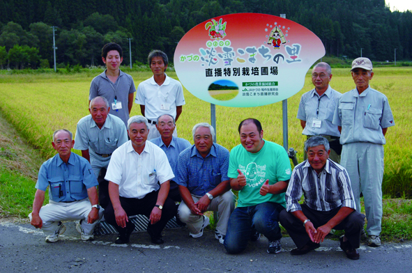 淡雪こまち玄米