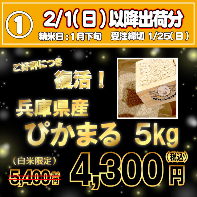【2/1出荷・大人気のため再登場!】令和7年産 兵庫県産ぴかまる 白米5kg|モチモチの甘みが冷めても美味しい!【1/25受注締切】【限定300袋・他商品同梱不可】【お買い得品・会員ランク特典対象外】