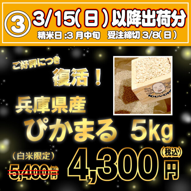 【3/15出荷・大人気のため再登場!】令和7年産 兵庫県産ぴかまる 白米5kg|モチモチの甘みが冷めても美味しい!【3/8受注締切】【限定300袋・他商品同梱不可】【お買い得品・会員ランク特典対象外】