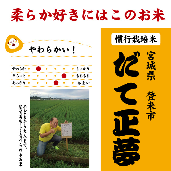 だて正夢