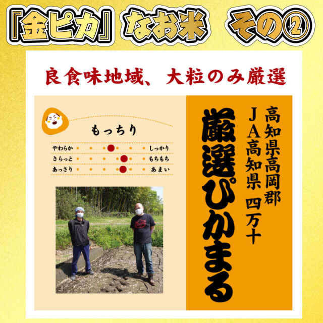 ガチ金　四万十厳選ぴか