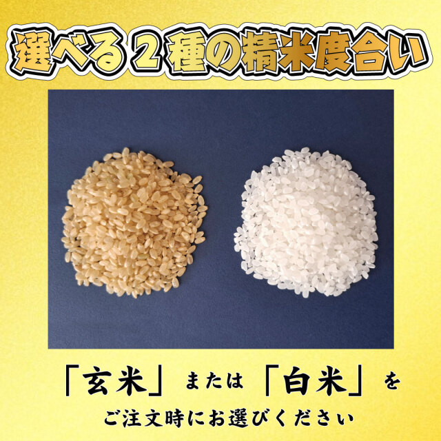 ガチ金　精米度合い