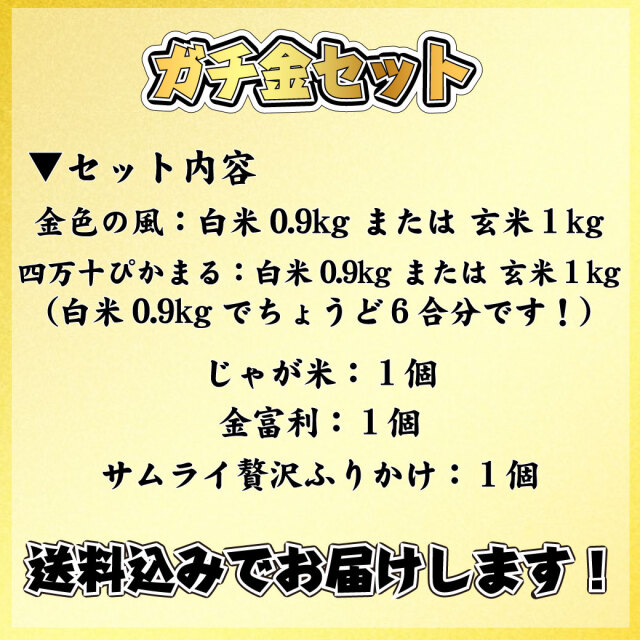 ガチ金セット内容