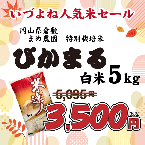 倉敷減ぴかセール