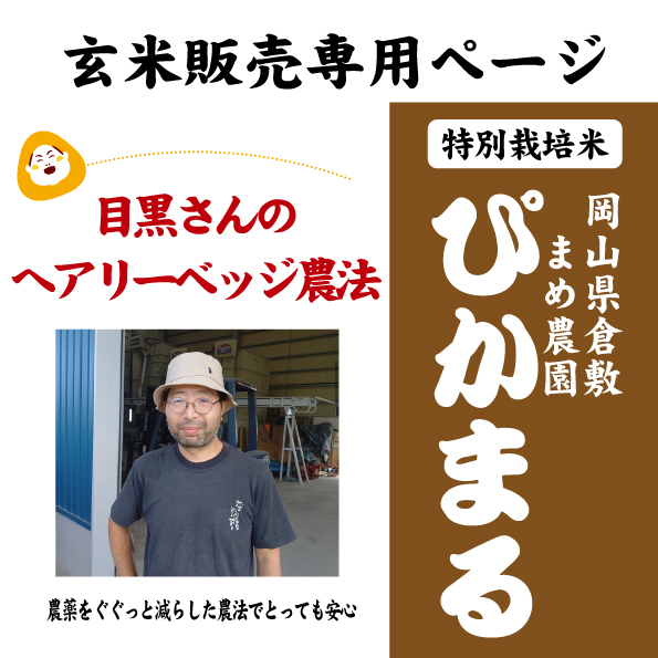 7年産　減ぴかまる玄米