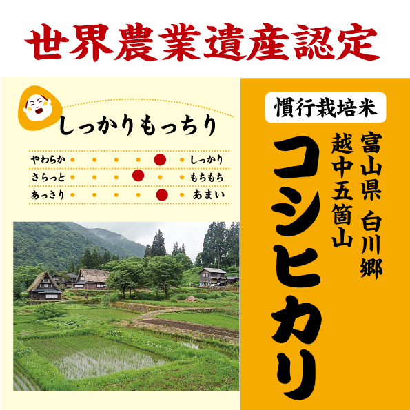 五箇山コシヒカリ