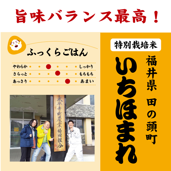 福井いちほまれ　減農薬