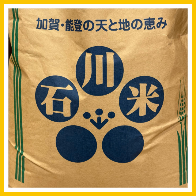 石川コシヒカリ（仮）