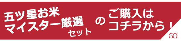 福袋　購入