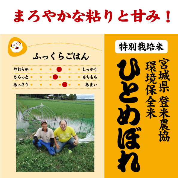 宮城ひとめぼれ