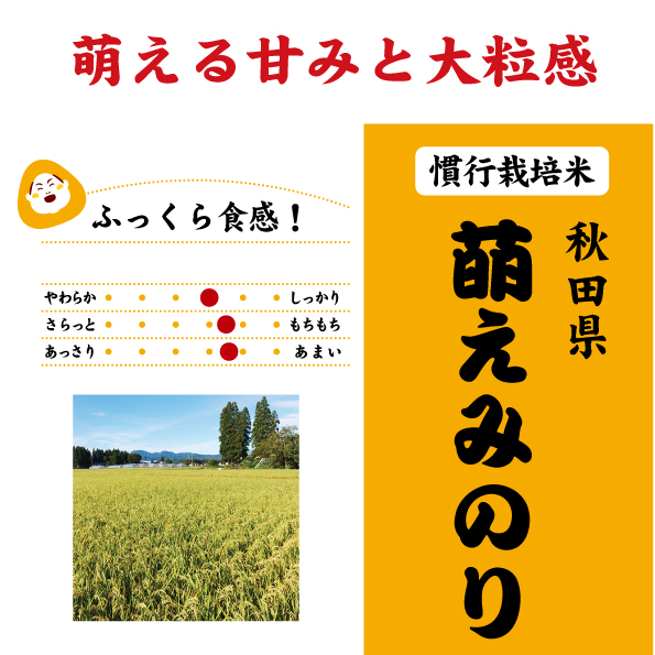 萌えみのり