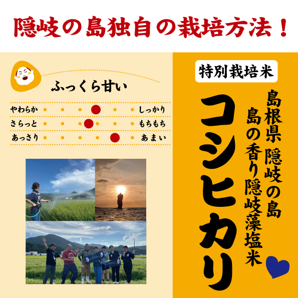 藻塩コシヒカリ7年産