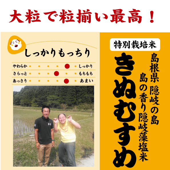 4年産 島根 隠岐藻塩きぬむすめ 特別栽培米 栽培期間中農薬５割減 化学肥料５割減