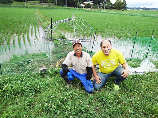 無農薬ひとめ田んぼ
