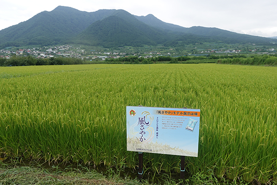 長野産地研修