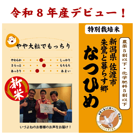 なつひめ,新米