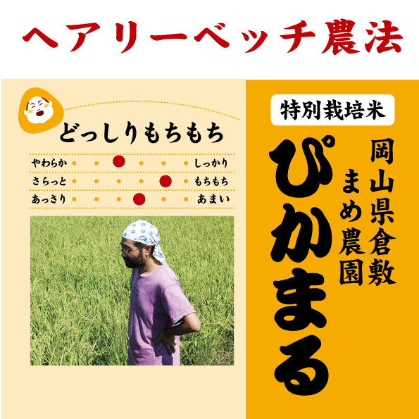 2年産 岡山 倉敷 ぴかまる 特別栽培米 栽培期間中農薬５割減 化学肥料５割減