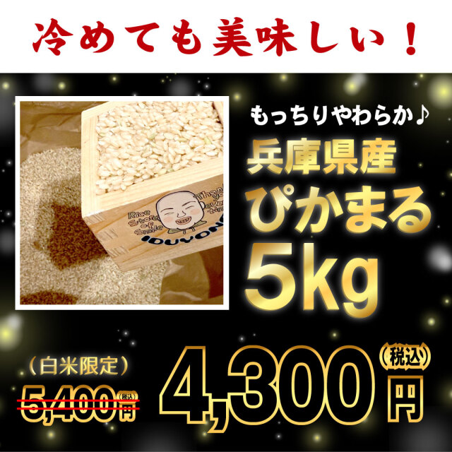 精米済だからお買い得！】令和7年産 兵庫県産ぴかまる 白米5kg