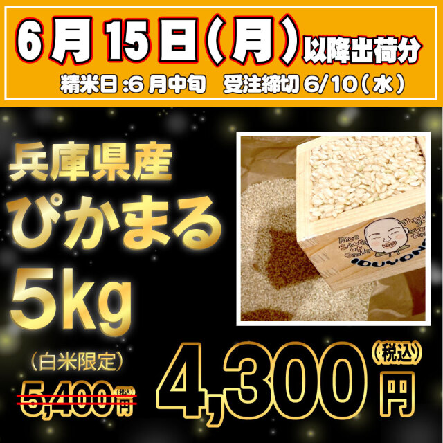 【6/15出荷・6/10受注締切】令和7年産 兵庫県産ぴかまる 白米5kg|モチモチの甘みが冷めても美味しい!【米袋に入れて発送します・他商品同梱不可】【お買い得品・会員ランク特典対象外】