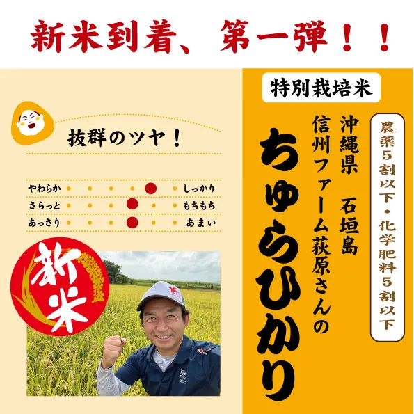 ちゅらひかり [新米]