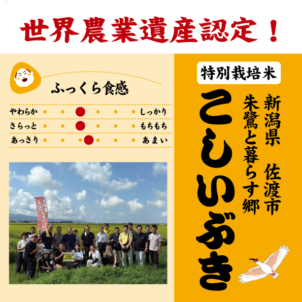 7年佐渡こしいぶき