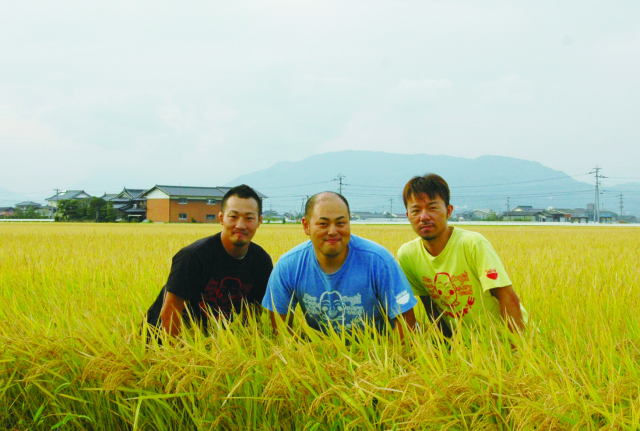 7年産 佐賀 さがびより