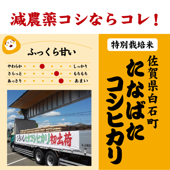 佐賀　七夕コシヒカリ