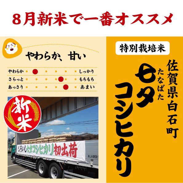 七夕コシ　新米