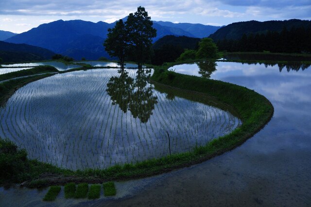天空の棚田