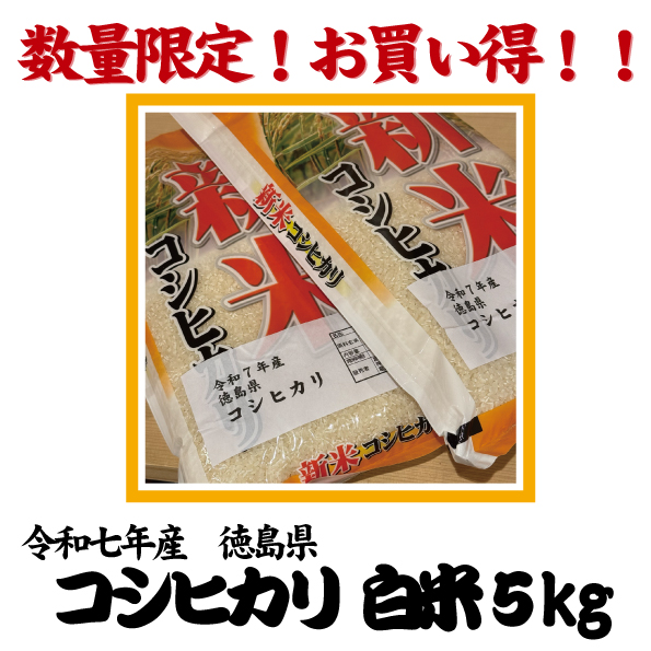 徳島コシ5?特売