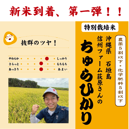ちゅらひかり