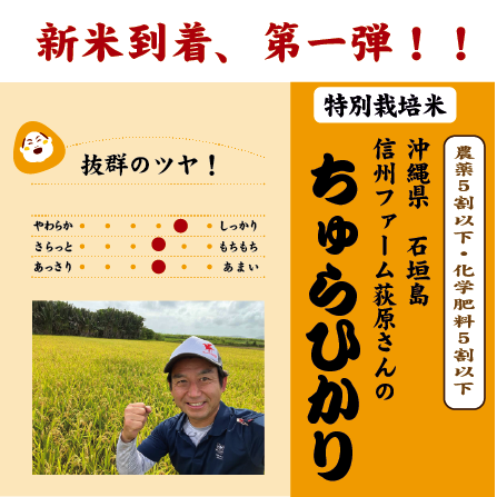 ちゅらひかり,新米