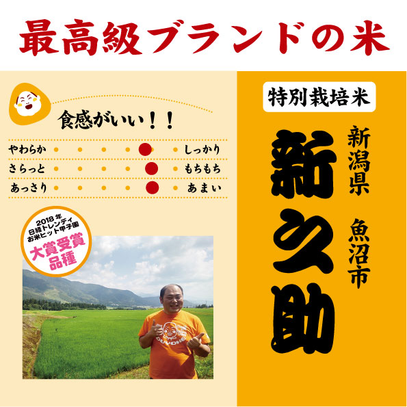 うおのすけ7年