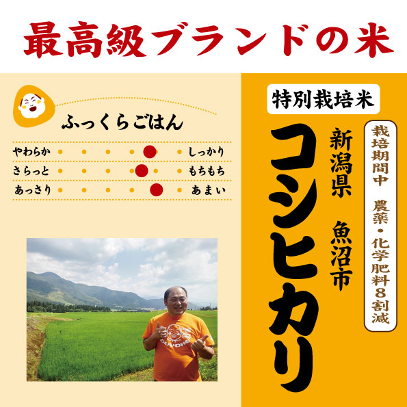 魚沼コシヒカリ特栽　7年産