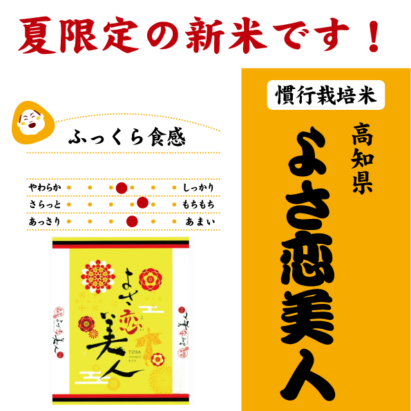 高知　よさ恋美人
